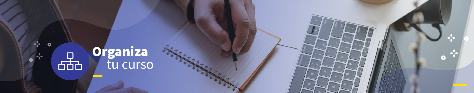 Organiza