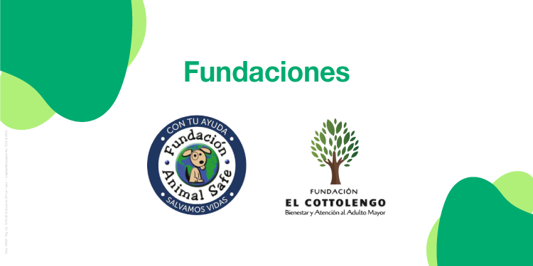 Fundaciones de Cali Fundaciones de Cali