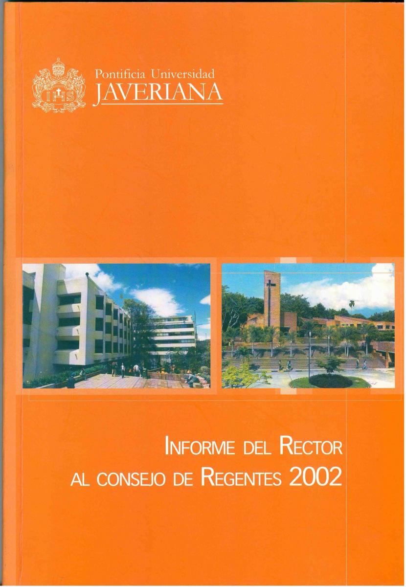 Informe de gestión 2002