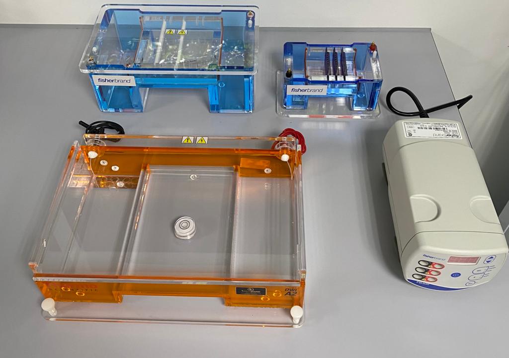 Cámaras de electroforesis