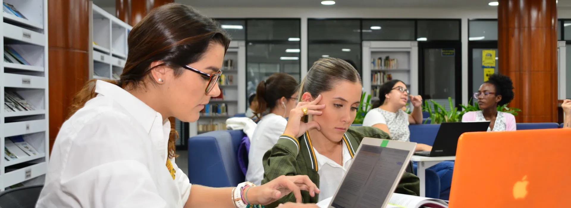 Grupos de Investigación