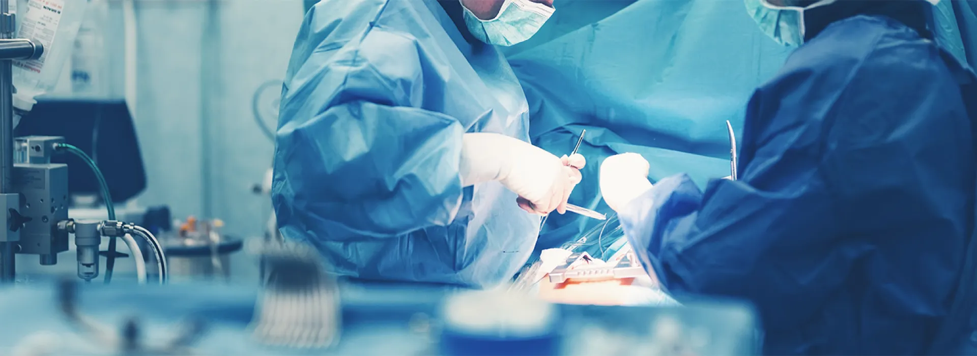 Programa de formación en Patología y cirugía de cadera y rodilla