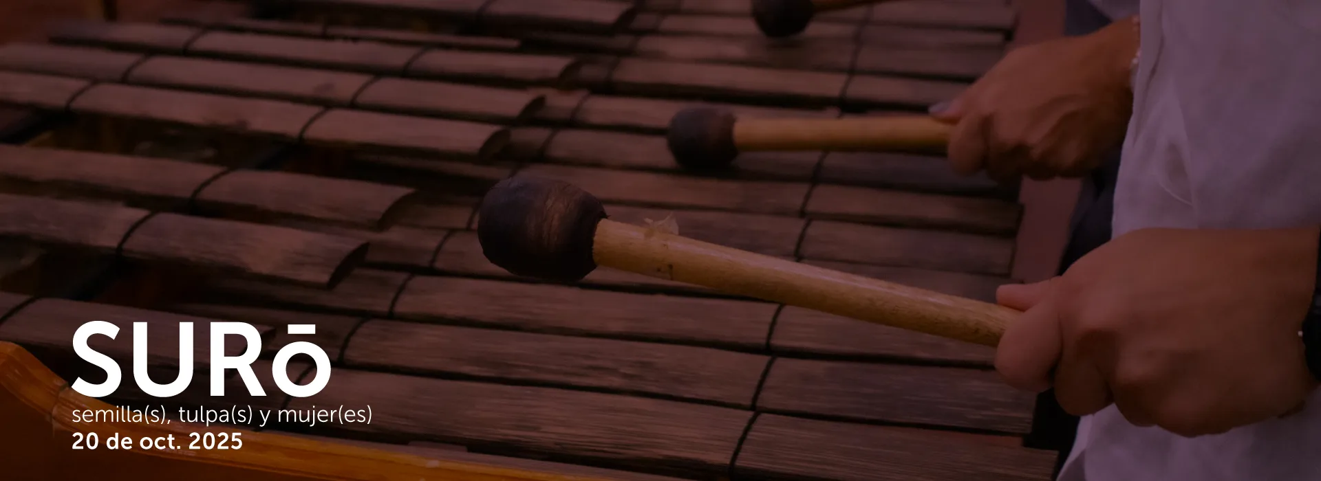 Diálogos Javeriana Cali