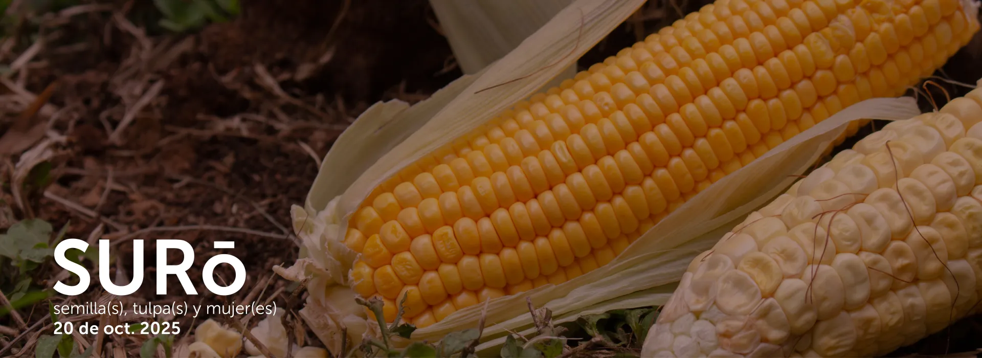 Suro 2025