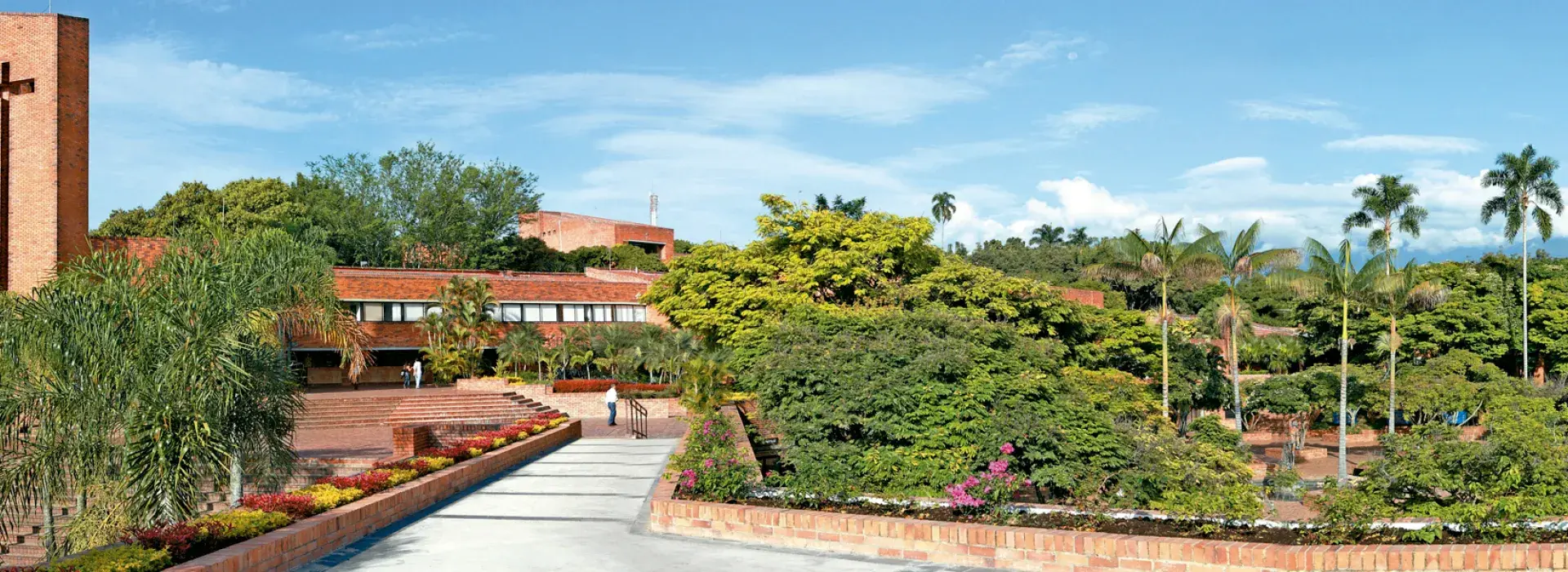 Equipo Consultorio Jurídico 