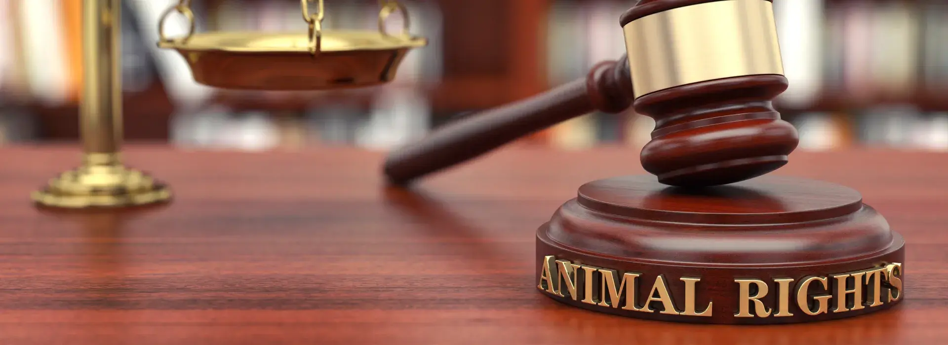 Diplomado en Derecho de los Animales