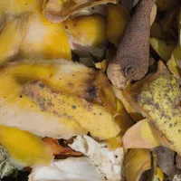 Compostaje de residuos vegetales Compostaje de residuos vegetales