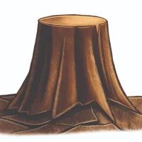T3