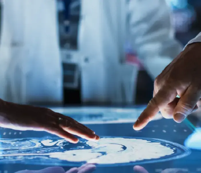 Diplomado en Neurociencia estructural y funcional