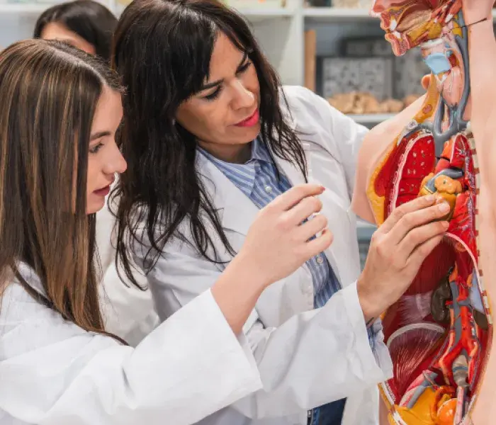 Curso de Anatomía Humana y Taller de Simulación Cardiorrespiratoria  javeriana cali