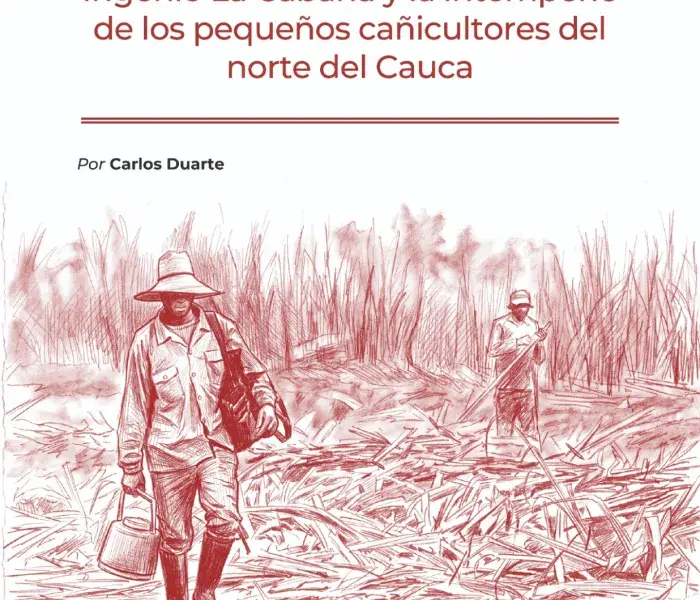 777 familias: El derrumbe del Ingenio La Cabaña  y la intemperie de los pequeños  cañicultores del norte del Cauca