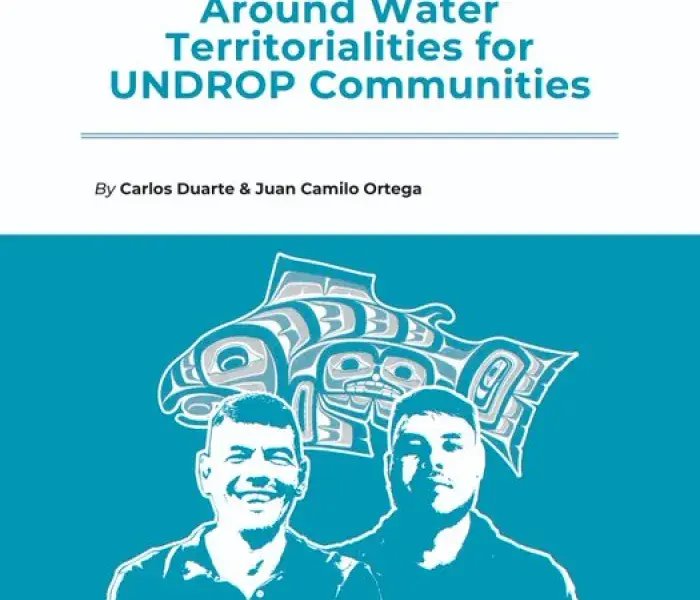 Systemic Tensions Around Water Territorialities for UNDROP Communities