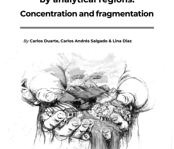 Global structure of the land by analytical regions: concentration and fragmentation