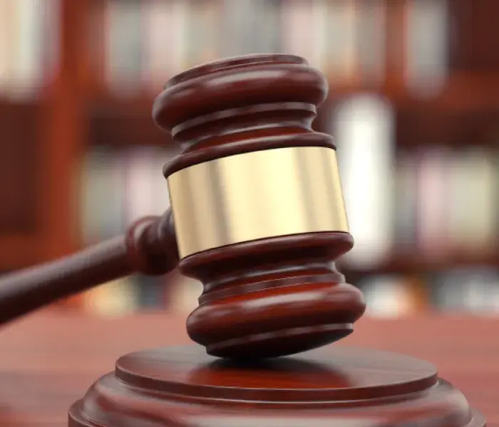 Diplomado en Derecho de los Animales
