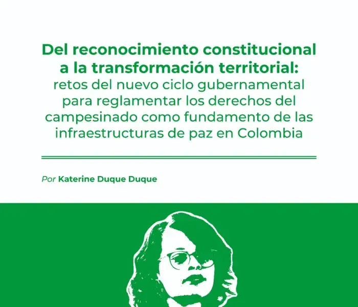 Del reconocimiento constitucional a la transformación territorial