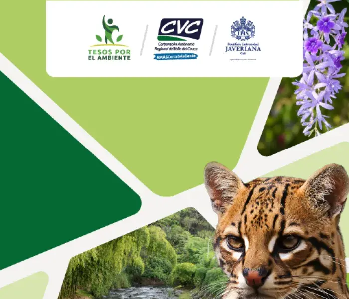 Diplomado en Educación y gestión ambiental