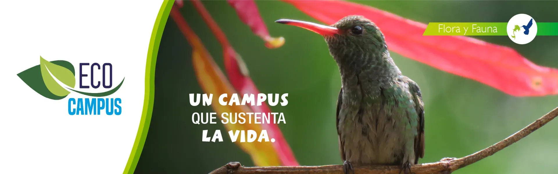 Flora y fauna