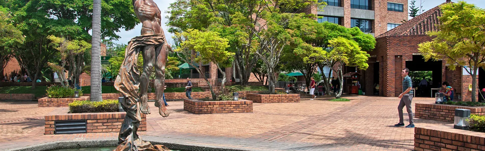 Organización y cultura