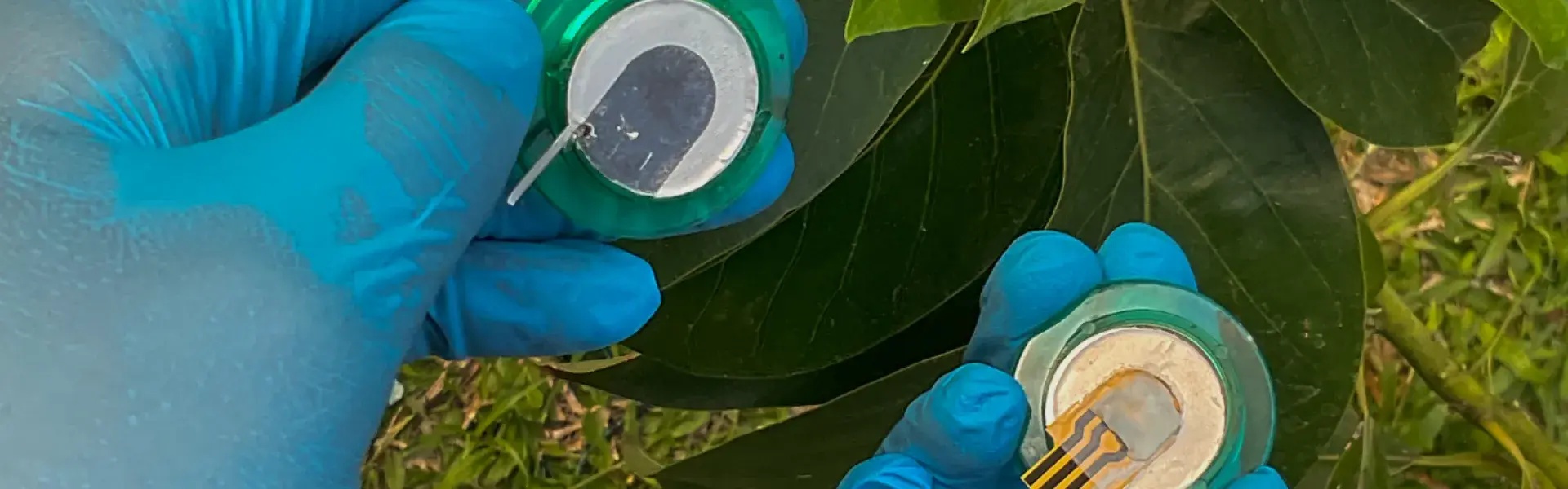 sensor_glucosa_banner