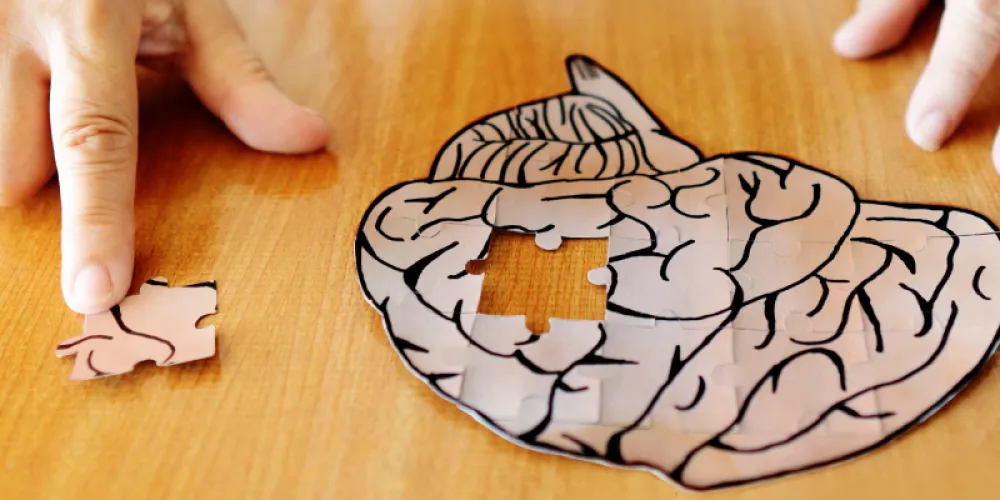 Maestría en Neuropsicología Clínica Maestría en Neuropsicología Clínica