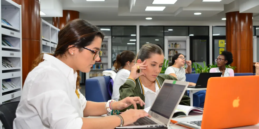 Nuestro Plan de Acción