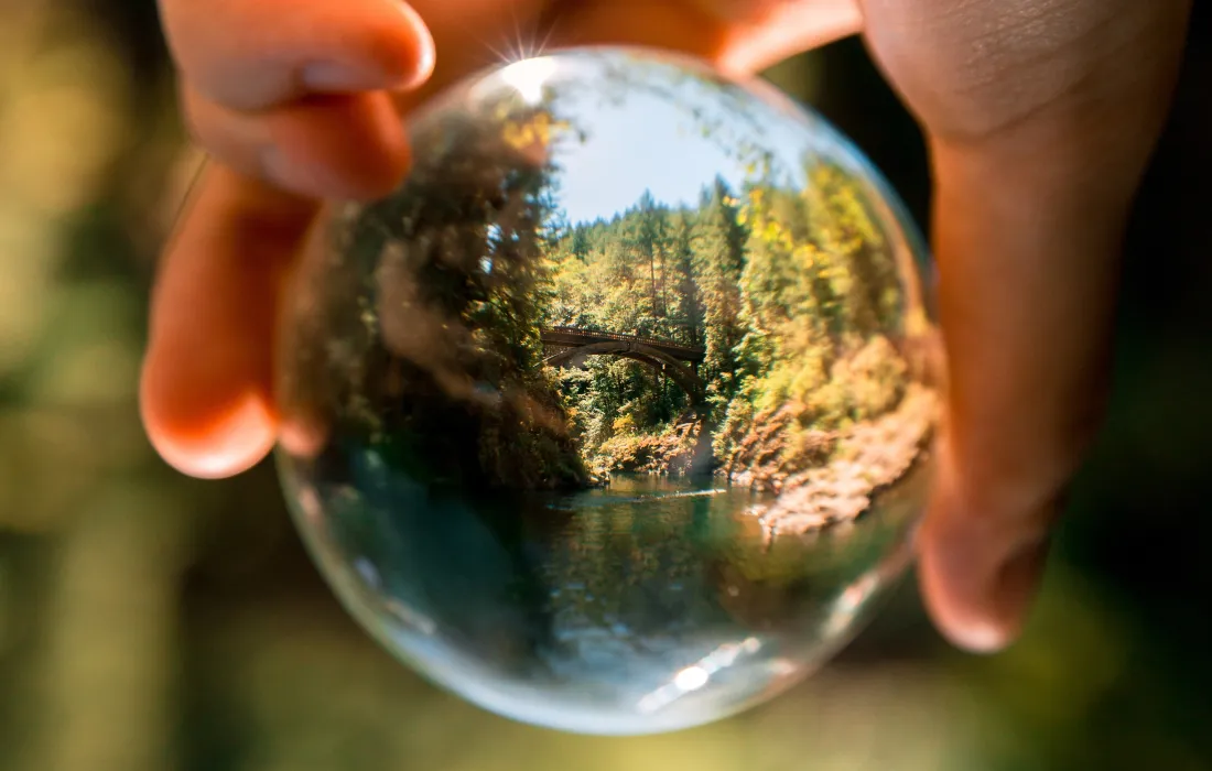 Especialización en Derecho Ambiental