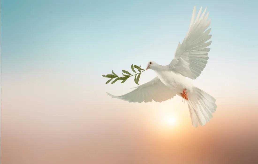 Una paloma con una rama de olivo volando libre, como símbolo de la paz. De fondo el amanecer. Una paloma con una rama de olivo volando libre, como símbolo de la paz. De fondo el amanecer.