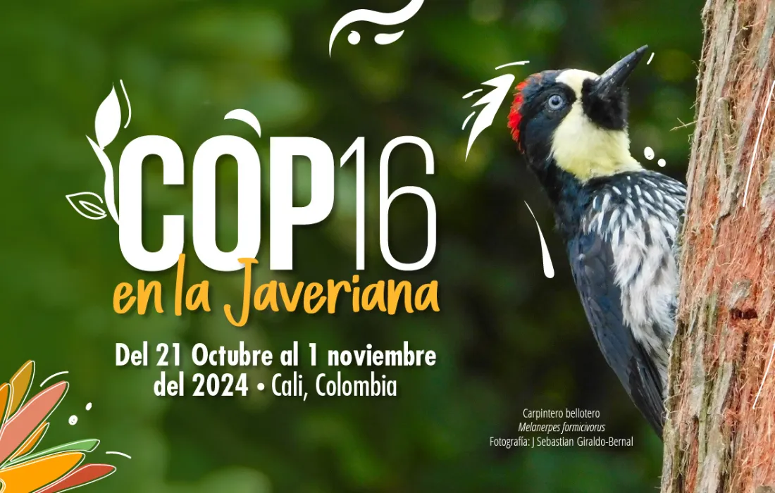 COP16 en la Javeriana COP16 en la Javeriana