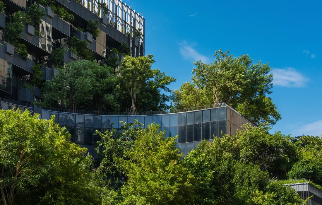 banner-organizacion-2