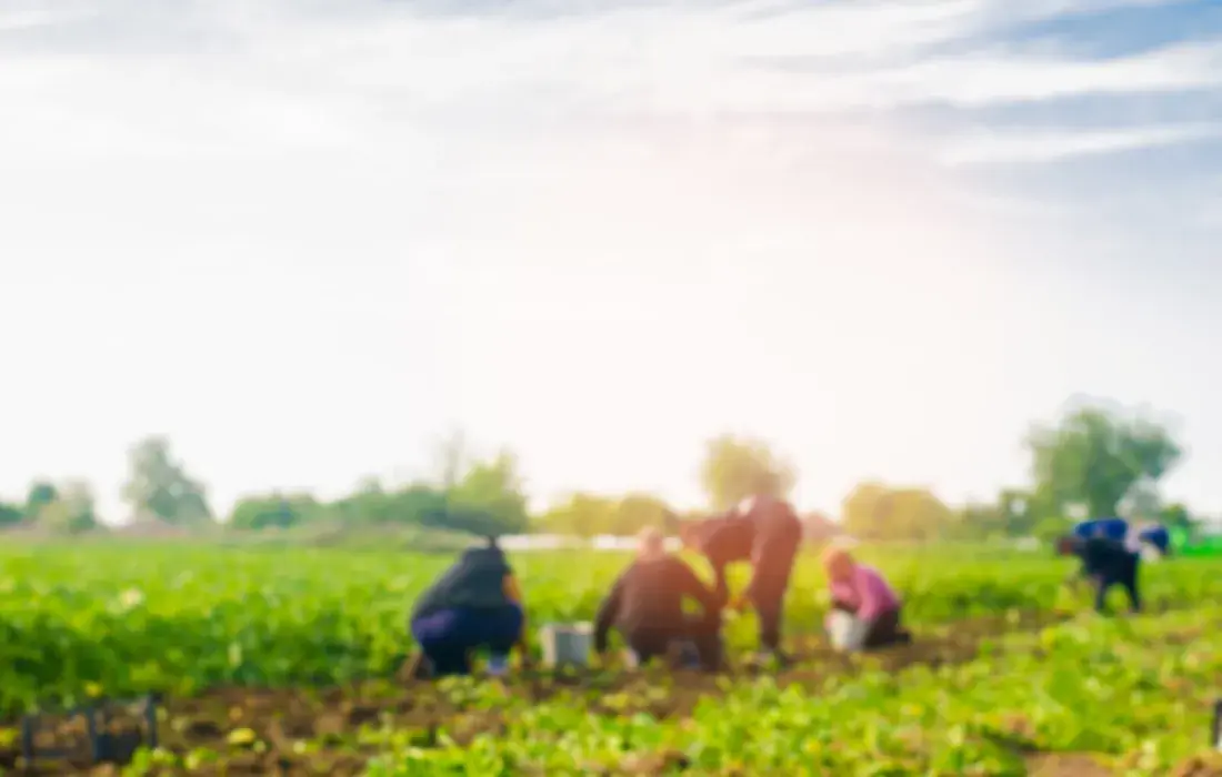 El Ordenamiento Territorial La brújula para destrabar el conflicto agrario en Colombia