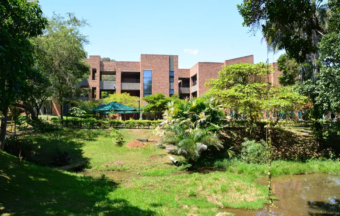 Las Acacias