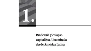 Pandemia y colapso capitalista. Una mirada desde América Latina