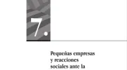 Pequeñas empresas y reacciones sociales ante la construcción de una autopista en el golfo de México