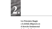 Los Principios Ruggie y la debida diligencia en el derecho fundamental de Consulta Previa