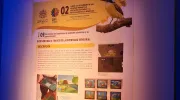 Póster de proyecto Póster de proyecto