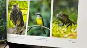 javeriana-librocop16-biodiversidad-cali javeriana-librocop16-biodiversidad-cali