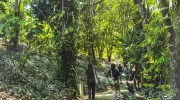 javeriana-librocop16-biodiversidad-cali javeriana-librocop16-biodiversidad-cali