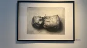 Estudiantes de Artes Visuales exploraron la memoria en la exposición 'Huellas entre lápiz y agua' Estudiantes de Artes Visuales exploraron la memoria en la exposición 'Huellas entre lápiz y agua'