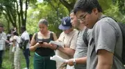 Se abren las inscripciones para el Diplomado en Educación y Gestión Ambiental 