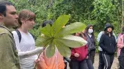 Restauración ecológica, el punto de encuentro entre las dos sedes de la Javeriana