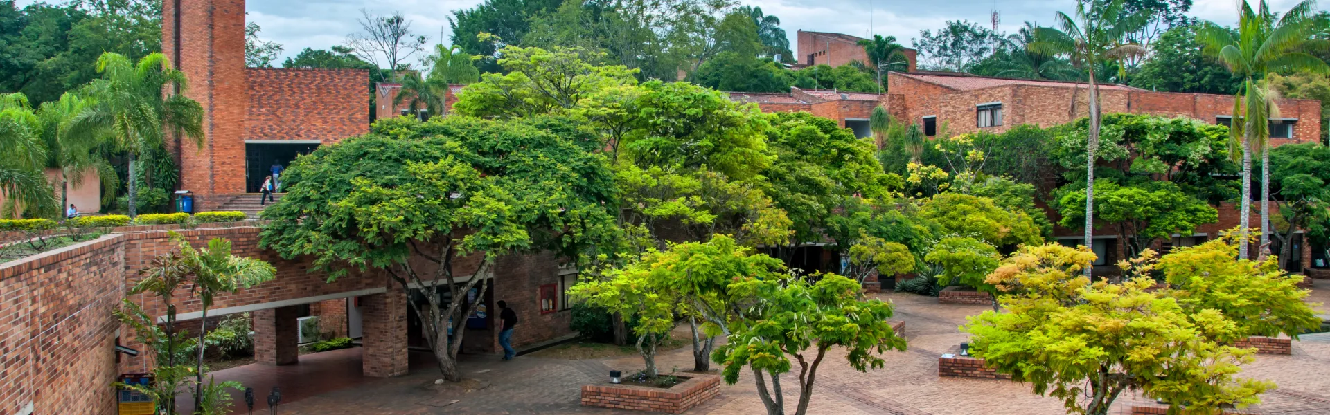 Logros de Consultoría - Javeriana Cali