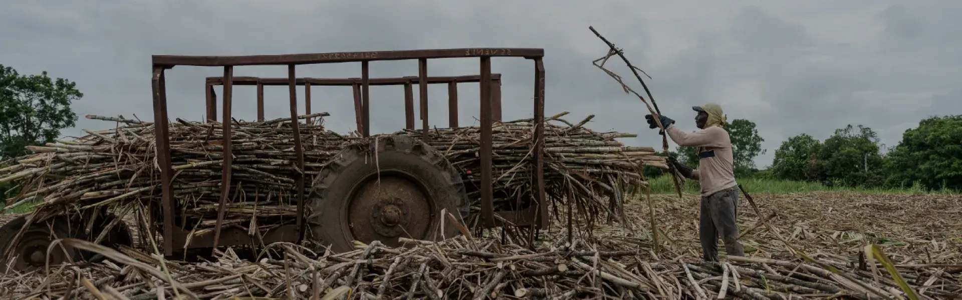 Sistemas-económicos