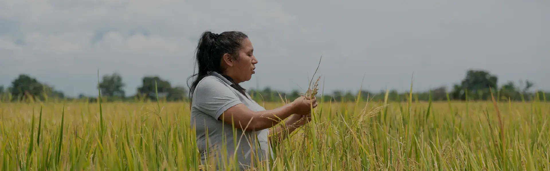 Mujer-rural
