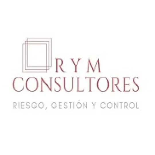 RyM consultores 