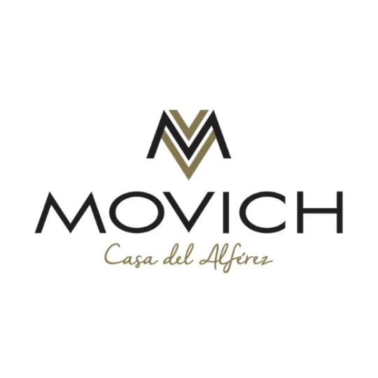 Logo Movich