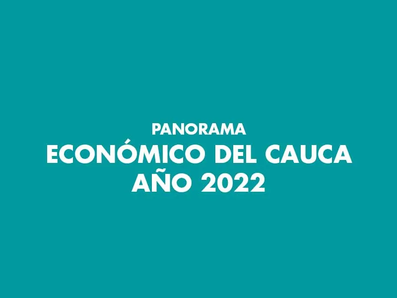 Panorama Económico del Cauca 2022