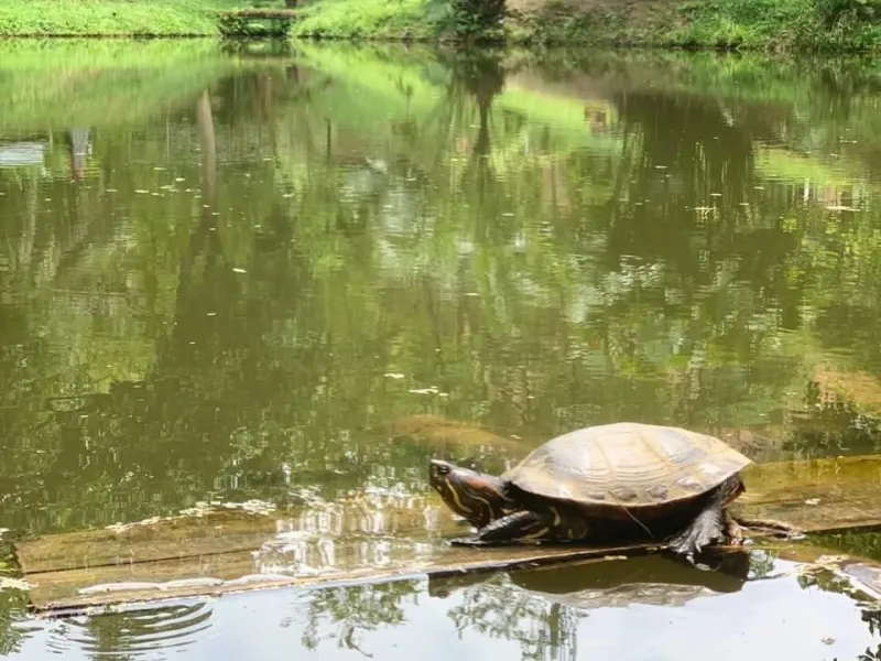 Gestión de la biodiversidad