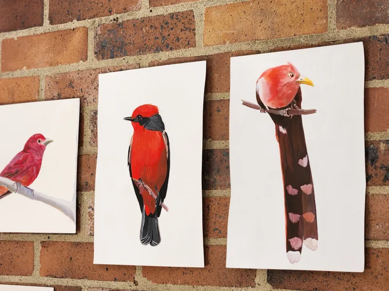 Aves ilustradas por estudiantes - 2 Aves ilustradas por estudiantes - 2