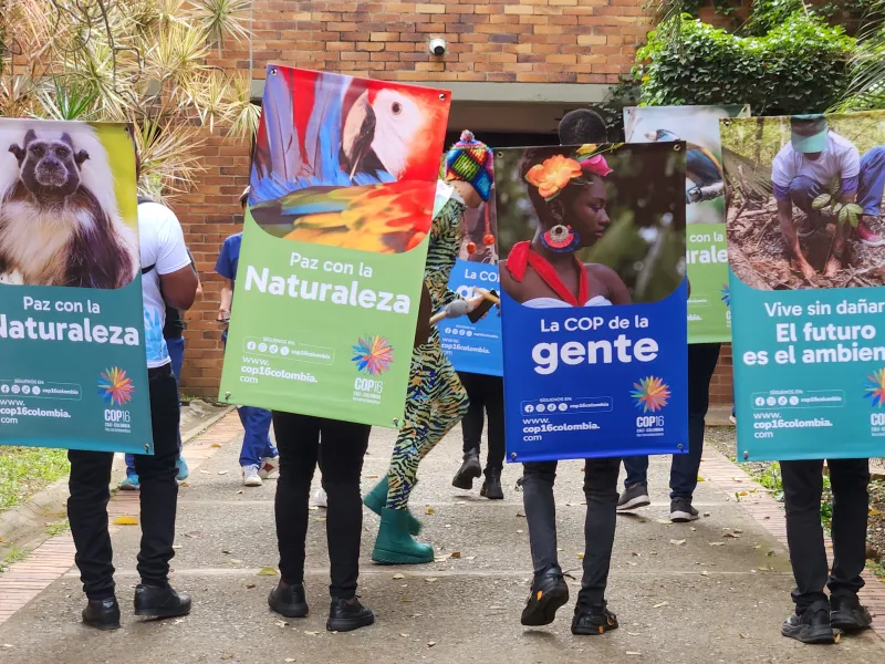 minambiete-javeriana-comparsa minambiete-javeriana-comparsa