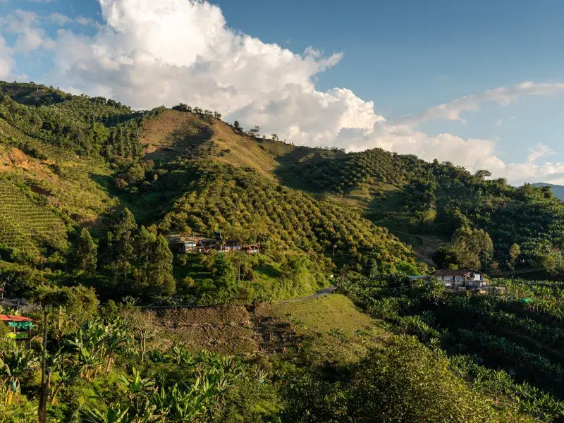 Especialización en Jurisdicción Agraria y Derecho de Tierras